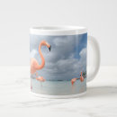 Search for aruba mugs Landscape