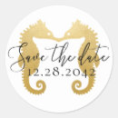 Search for sea envelope seals Modern