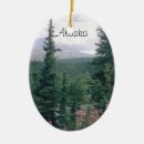 Search for alaska ornaments Denali