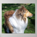 Recherche de k 9 posters Animaux domestiques
