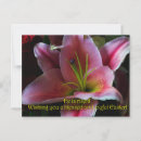 Search for easter greetings postcards Rabbit