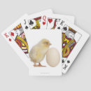 Search for big bird playing cards Photography
