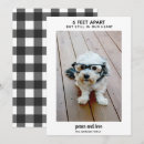 Search for feet cards Modern