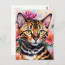 Search for bengal cats postcards Feline