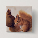 Search for squirrel square buttons Nut