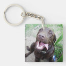 Search for goofy keychains Dog