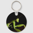 Search for mantids keychains Insect
