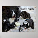 Recherche de herding dog posters Agility