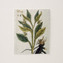 Recherche de gravure puzzles Botanique