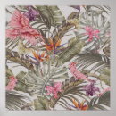 Search for tropical flowers posters Jungle