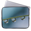 Search for template laptop cases Blank