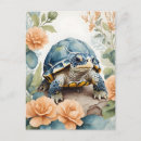 Search for tortoises postcards Animal
