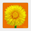 Search for acrylic coasters Summer