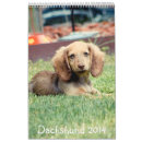 Search for dachshund calendars Doxie