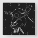 Search for quirky clocks Animal