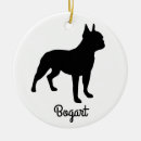 Search for boston ornaments Ceramic