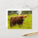 Search for highland cow birthday cards Scotland