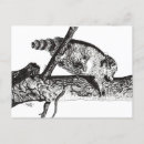 Search for racoons postcards Nature