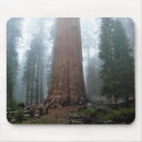 Search for generic mousepads Nature