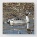 Recherche de le canard horloges Canards