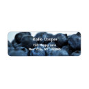 Search for blueberry return address labels Fruit