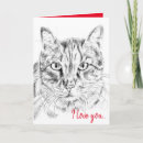 Search for funny cat anniversary cards Wife