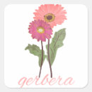 Search for gerbera stickers Daisies