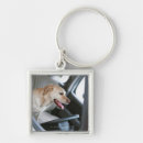 Search for labrador keychains Animal