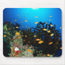 Search for sea side mousepads Sealife