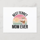 Recherche de furets cartes postales Polecats