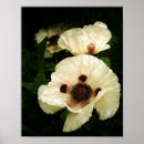 Search for oriental posters Poppies