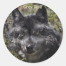 Search for lone wolf stickers Wolves