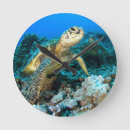 Recherche de turtle horloges Marine