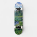 Search for creek skateboards Landscape