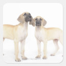 Search for side by side stickers Standing