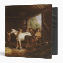 Search for stable binders Pony