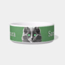 Recherche de races de chat Pour animaux
