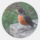 Search for cute robin stickers Nature