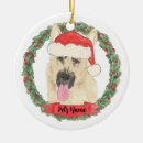 Search for black german shepherd ornaments Black and tan