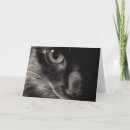 Search for kitty halloween cards Black