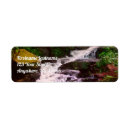 Search for stream return address labels Forest