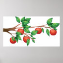 Search for apple tree posters Fruit