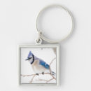 Search for blue jays keychains Cyanocitta cristata