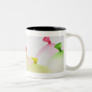 Search for studio shot mugs Abundance