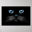 Search for blue eyed cat posters Cats