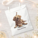 Search for golden retriever with cake Celebration
