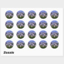 Search for riga stickers Cityscape