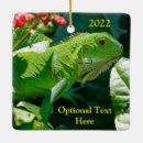 Search for iguana ornaments Animal