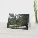 Search for song christmas cards Cardinal