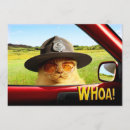 Search for constabulary invitations Cute